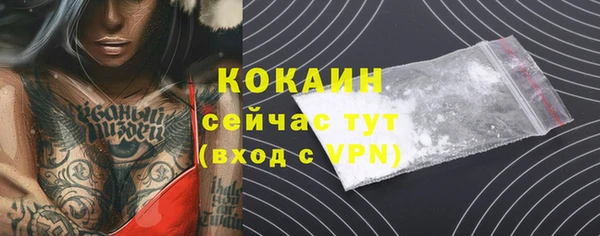 СК Алзамай