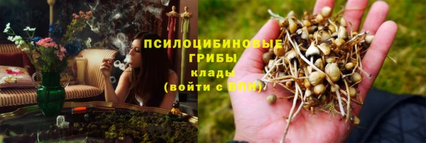 СК Алзамай