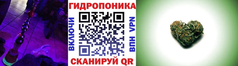 darknet Telegram  Амурск  Бошки марихуана марихуана 